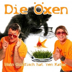 Mein Goldfisch hat 'nen Kater