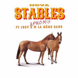 Stables (Afromix)