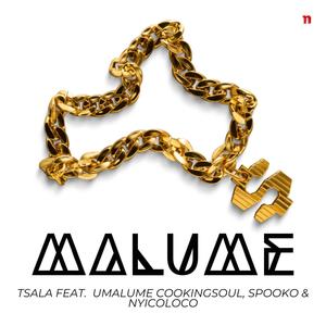 Malume (feat. uMalume Cookingsoul, Nyico Loco & Spooko)