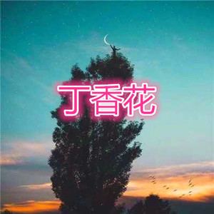 你说我爱你 (伴奏)