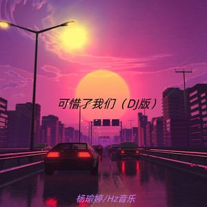 可惜了我们 (DJ版)