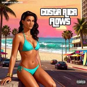 Costa Rica Flows (Explicit)