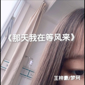 那天我在等风来