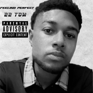 Feeling Perfect (Explicit)