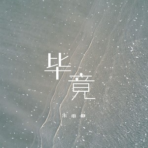 毕竟 (Dj阿卓版伴奏)