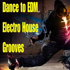 Dance to Edm Electro House Grooves