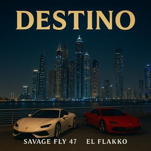 Destino (feat. El Flakko) (Explicit)