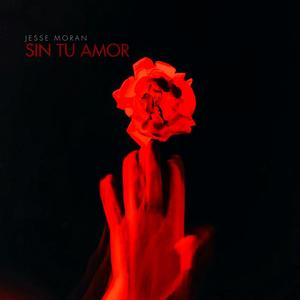 Sin Tu Amor