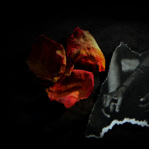 Be Steadwell - Before We Die (Explicit)