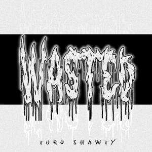 Wasted (Explicit)