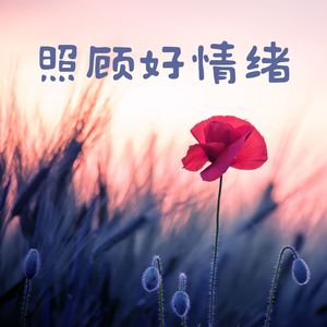 照顾好情绪 - 身心平衡的15首器乐歌曲,小提琴与大提琴,钢琴和长笛音乐合集,晨起唤醒的最好听配乐,让你全身舒爽的轻音乐