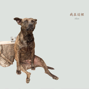 爱牌除湿机