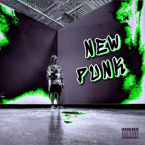 New Punk (Explicit)