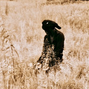 Sambisa Forest