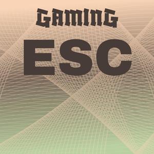 Gaming Esc