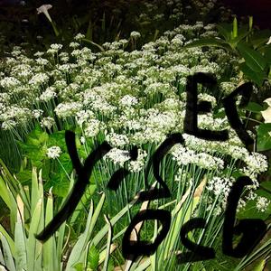 Home to Scuff and back Again