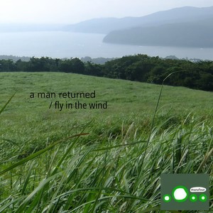 fly in the wind