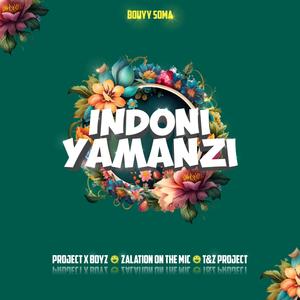 Indoni Yamanzi (feat. Zalation on the mic, T&Z Project & Project X Boyz)