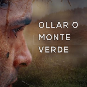 O monte verde