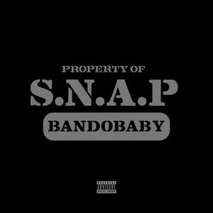 Still Not A Playa (Explicit)