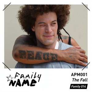 The Fall (Mainro Remix)