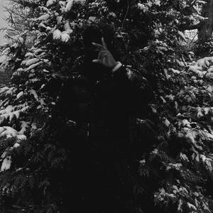 JANK P (feat. jankwop & marblizzyy) (Explicit)