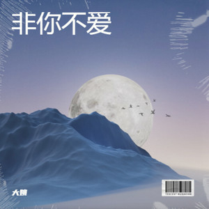 非你不爱封面