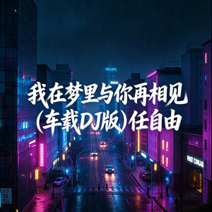 我在梦里与你再相见 (车载DJ版)