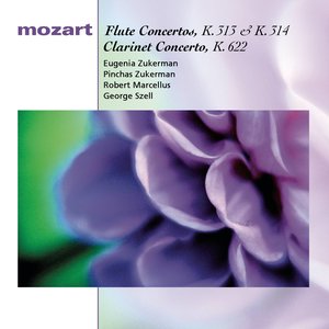 Flute Concerto No. 1 in G Major, K. 313 - I. Allegro maestoso