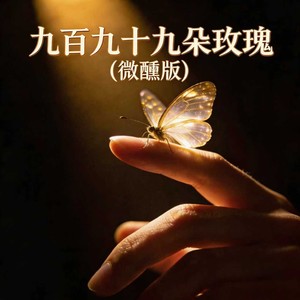九百九十九朵玫瑰-夕颜NA