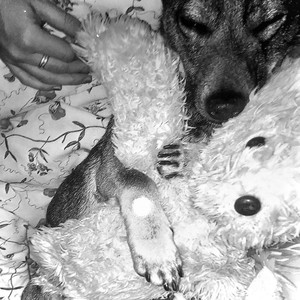 Home (Sebastian Gabriel Remix)