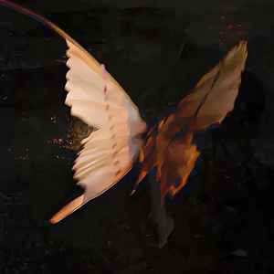 爱错(爱自己是终身浪漫的开始)