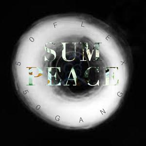 Sum Peace (Explicit)