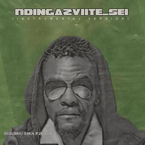 Ndingazviite Sei (Instrumental Version)