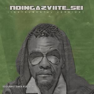 Ndingazviite Sei (Inst.)