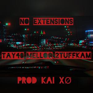 No Extensions (feat. Tay40 & Meloo) (Explicit)