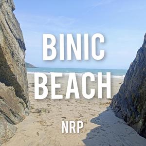 Binic Beach