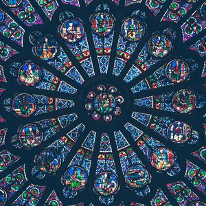 Medicinal Views (Explicit)