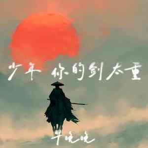 少年 你的剑太重