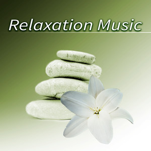 Relaxation Music – The Best Classical Music for Serenity, Meditation Relaxation, Calming Sounds for Peace of Mind