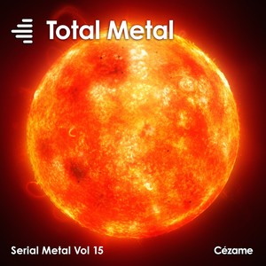 Total Metal(Serial Metal Vol. 15)