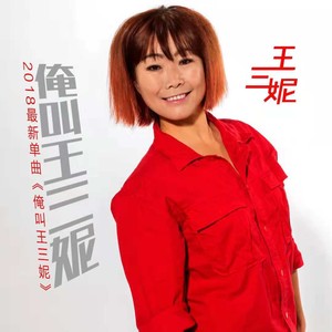 俺叫王三妮 (舞曲版)