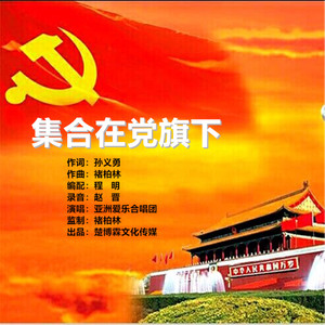 集合在党旗下