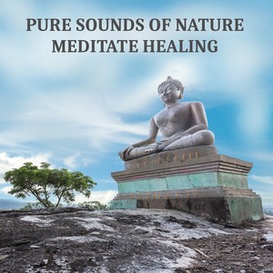 Pure Sounds of Nature - Meditate Healing Music for Yoga and Relaxation, Massage, Spa