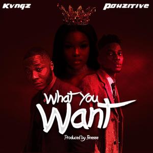 What You Want (feat. Pohzitive) (Explicit)