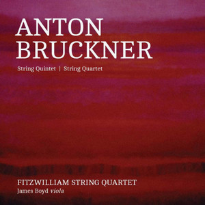 String Quintet in F Major, WAB 112 - I. Gemäßigt