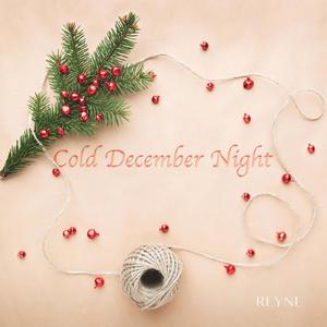 Cold December Night