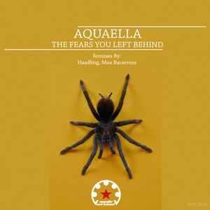 The Fears You Left Behind (Haadling Remix)