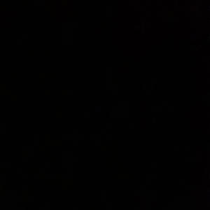 SAFE 2 SAY (FREESTYLE ) (Explicit)