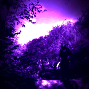 SH!T (feat. yung lemon & Iced$oldier) (Explicit)